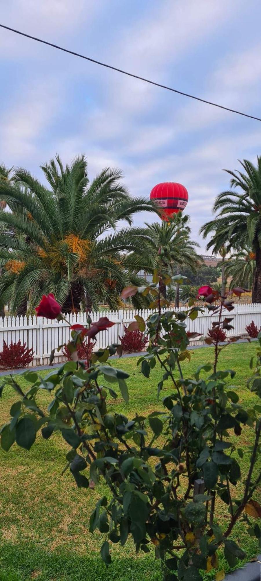 The Cottage At Seppeltsfield, Barossa Valley 외부 사진